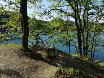 Apartamentos Top Ferienwohnung Am Diemelsee, Sauerland Nähe Willingen Winterberg