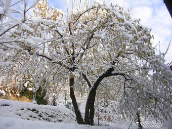 B&B Cascina Belsito